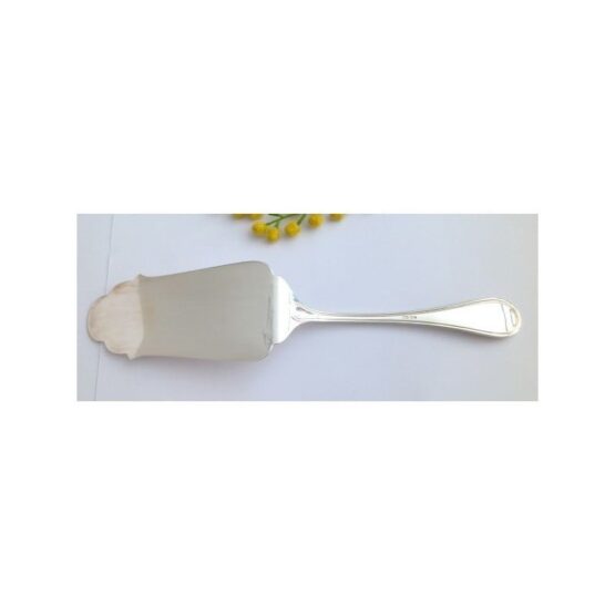 800 Solid Silver Scoop for dessert